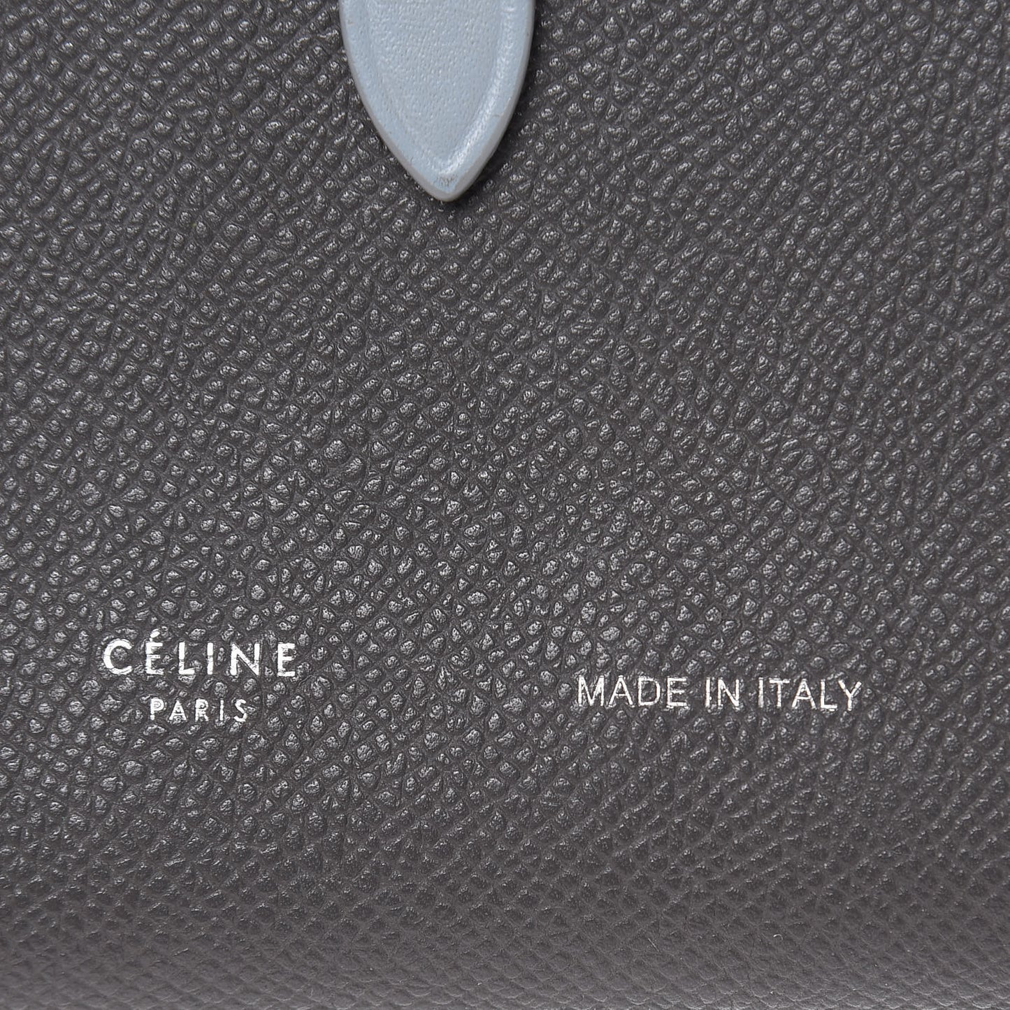 Grained Calfskin Large Multifunction Strap Wallet Pebble Mineral