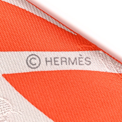 Hermes Silk Calfskin Bouquet Final Fringed Twilly Orange Gris Perle Vermillion 4 of 4