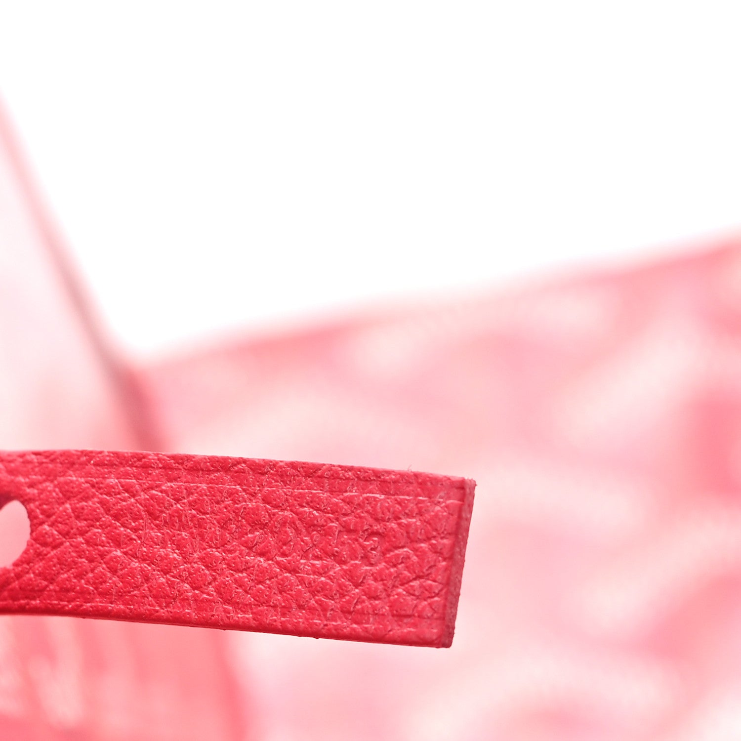 Goyard Goyardine Le Jardin Saint Louis PM Fuchsia 8 of 11