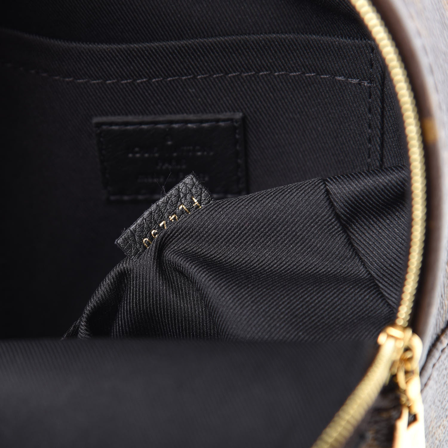 Louis Vuitton Monogram Palm Springs Backpack Mini 6 of 10