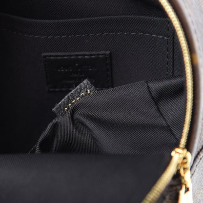 Louis Vuitton Monogram Palm Springs Backpack Mini 6 of 10