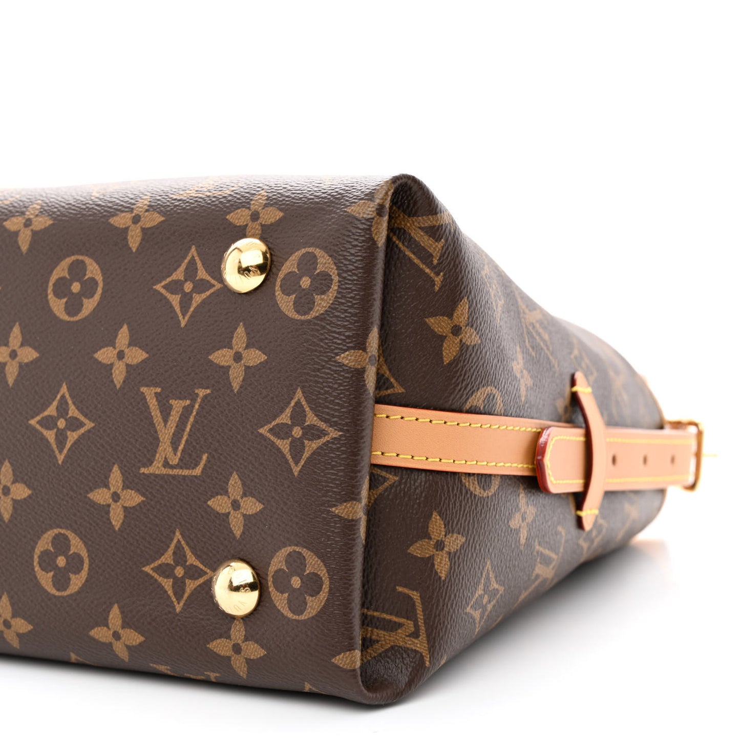 Monogram CarryAll PM