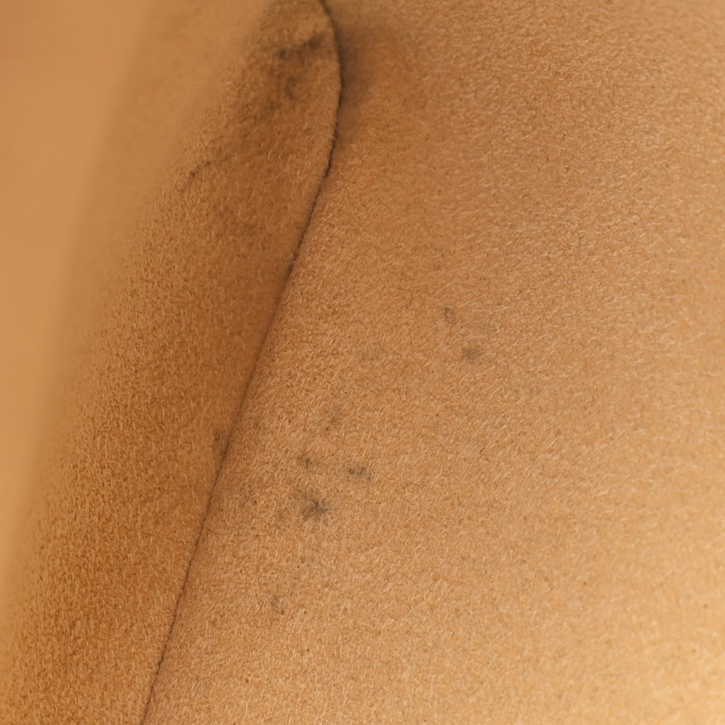 Monogram Chain Speedy 20