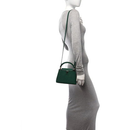 Louis Vuitton Ostrich Capucines Mini Mint 2 of 10