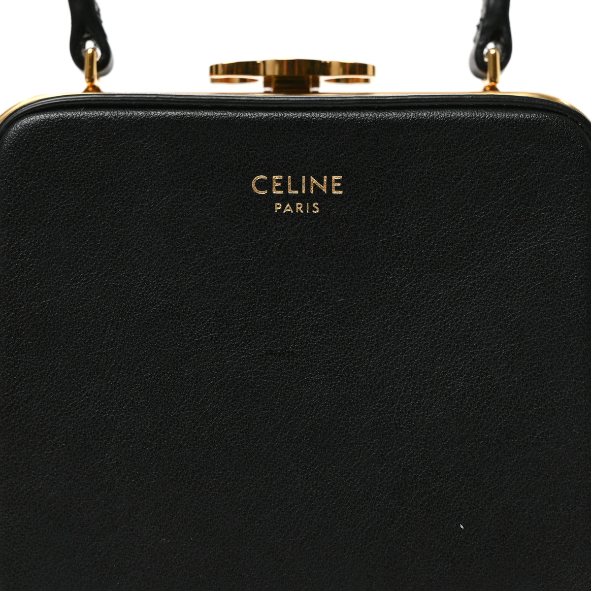 Shiny Calfskin Lana Triomphe Minaudiere Black