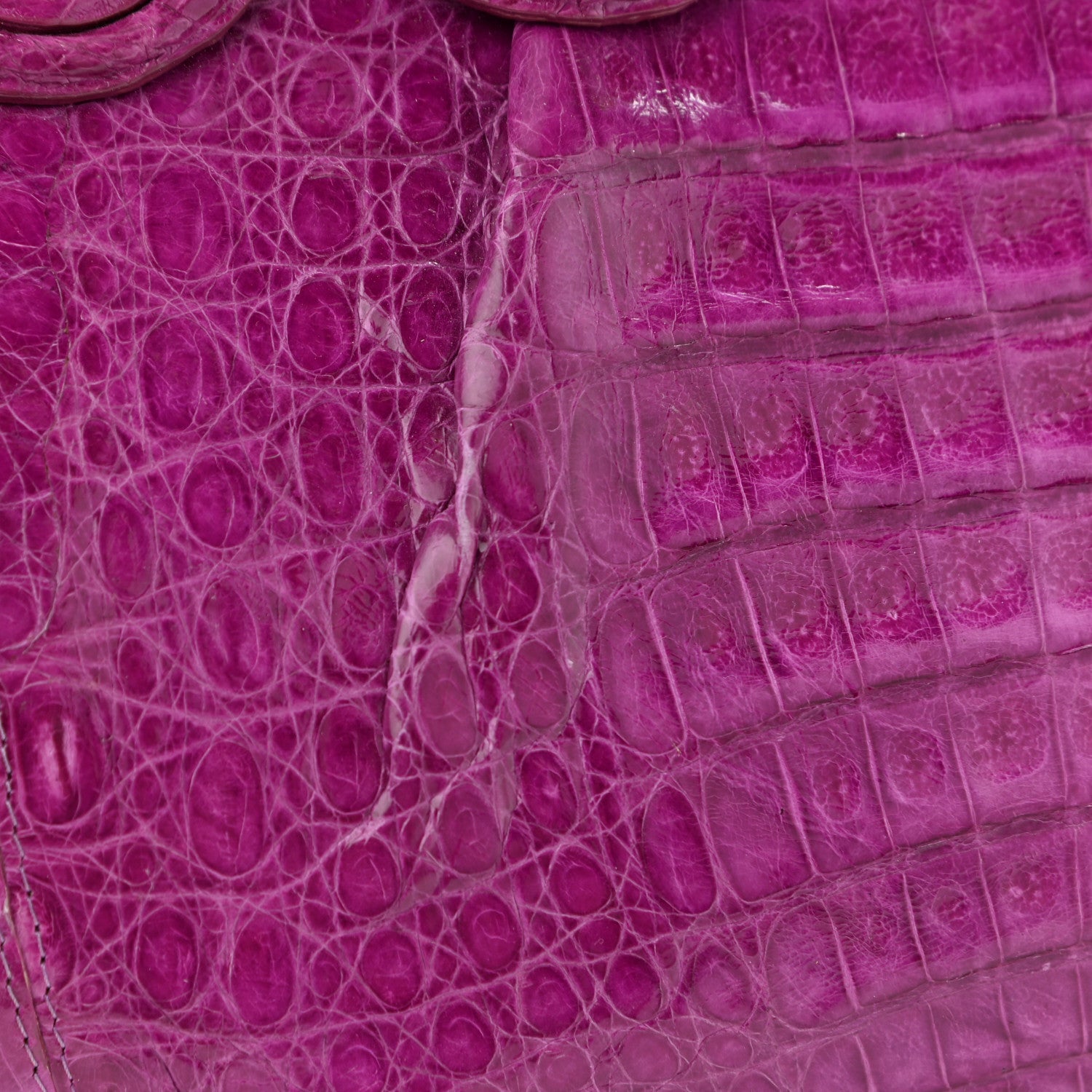 Nancy Gonzalez Crocodile Satchel Fuchsia 13 of 16