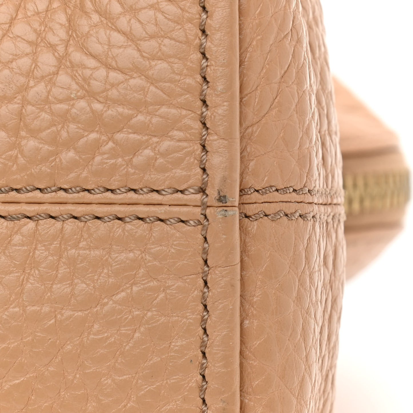 Pebbled Calfskin Small Chameleon Tote Beige