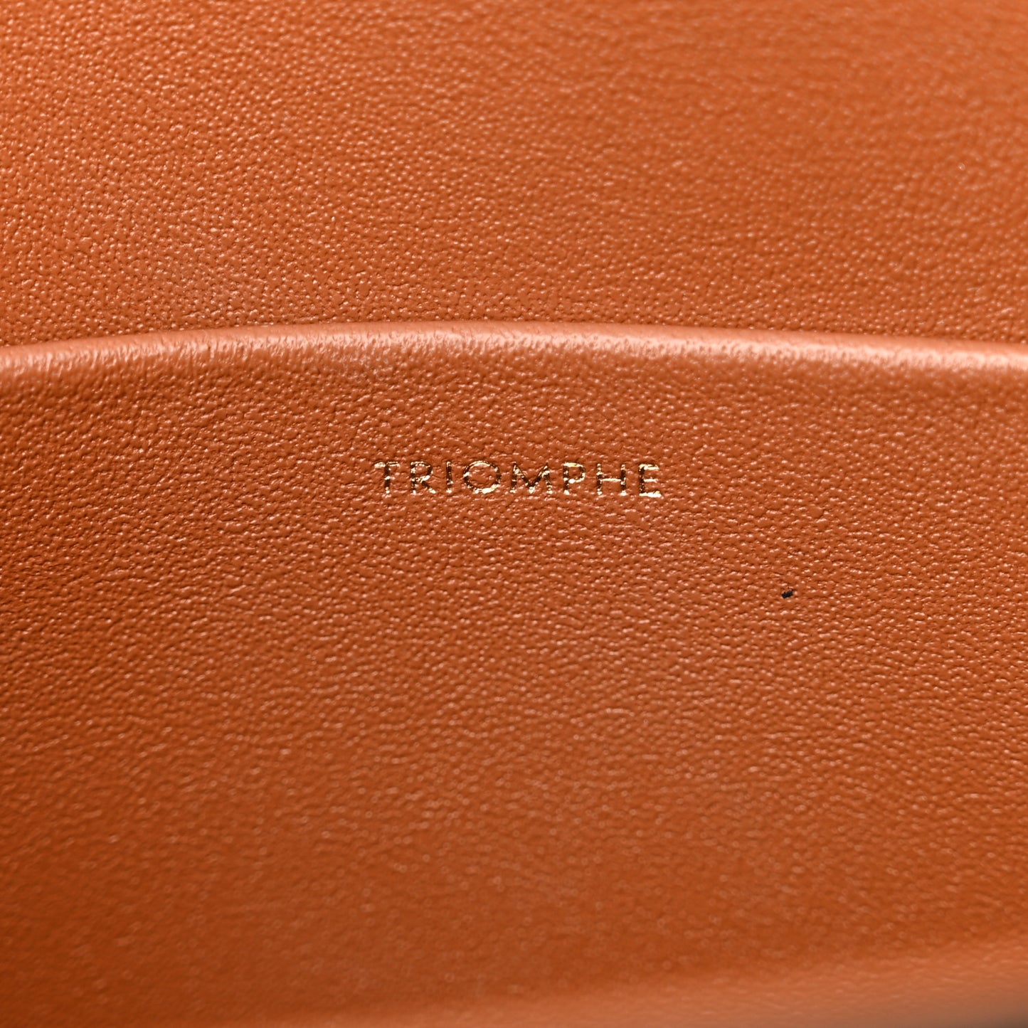 Canvas Calfskin Triomphe Shoulder Bag Tan