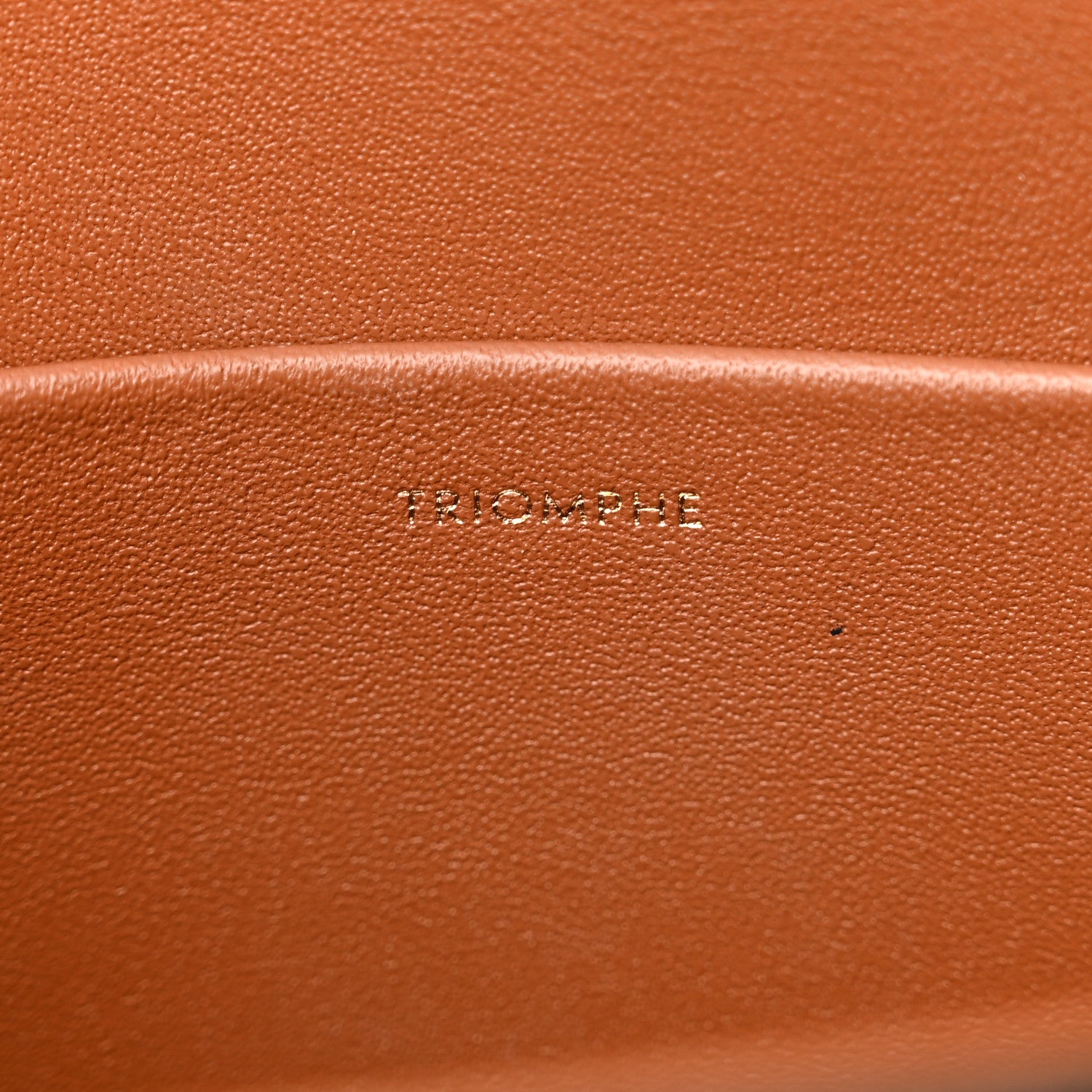Celine Canvas Calfskin Triomphe Shoulder Bag Tan 7 of 12