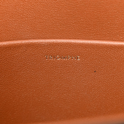 Celine Canvas Calfskin Triomphe Shoulder Bag Tan 7 of 12