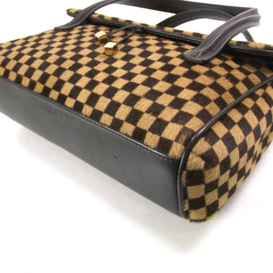 Louis Vuitton Damier Sauvage Lionne Handbag 5 of 9