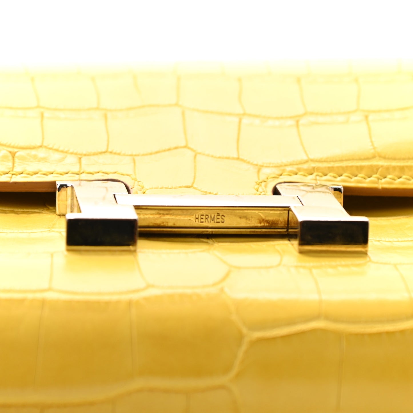 Matte Alligator Constance Long Wallet Jaune Ambre