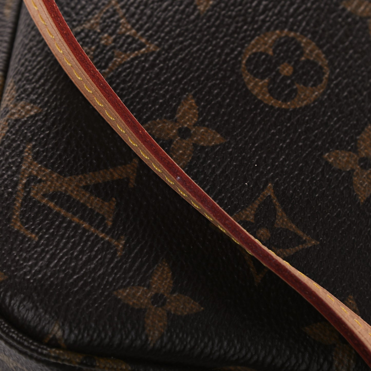 Monogram Pochette Accessories NM
