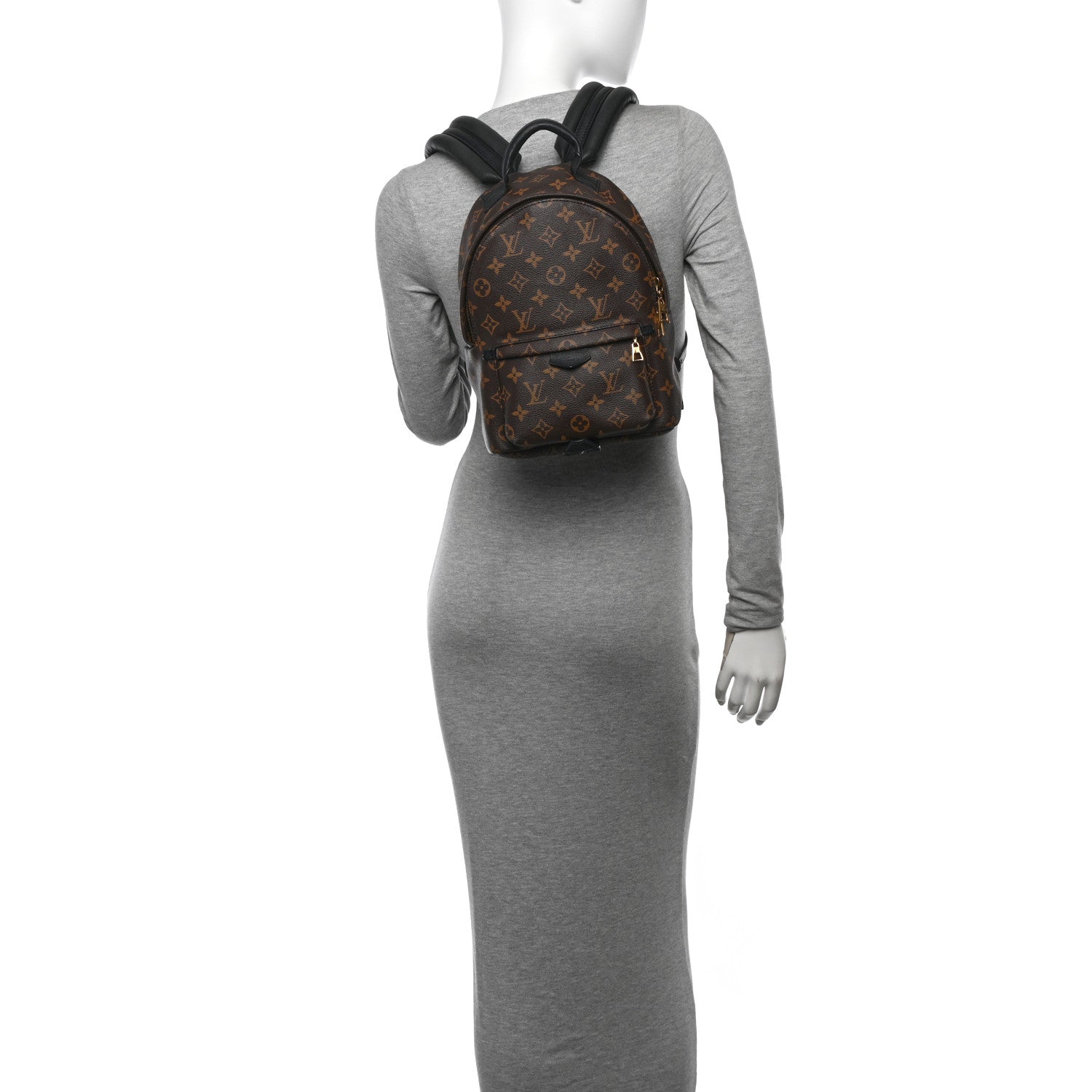 Louis Vuitton Monogram Palm Springs Backpack PM 2 of 13