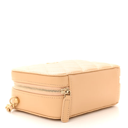Chanel Lambskin Quilted CC Pearl Crush Camera Case Beige 4 of 11