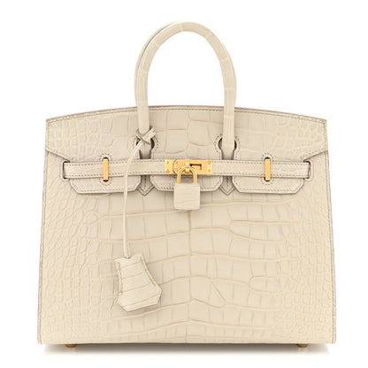 Hermes Matte Alligator Birkin Sellier 25 Beton 1 of 11