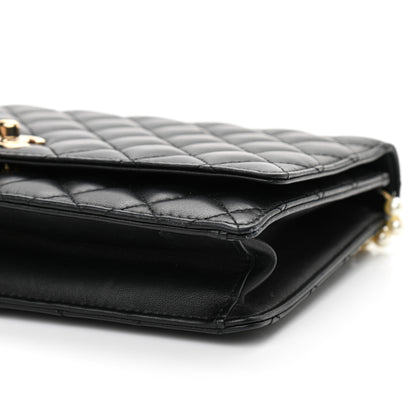 Chanel Lambskin Quilted Fantasy Pearl Flap Black 10 of 14