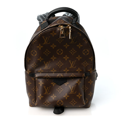 Louis Vuitton Monogram Palm Springs Backpack PM 1 of 10