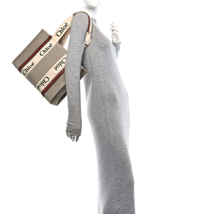 Chloe Cotton Calfskin Medium Woody Ribbon Tote White Brown 2 of 10