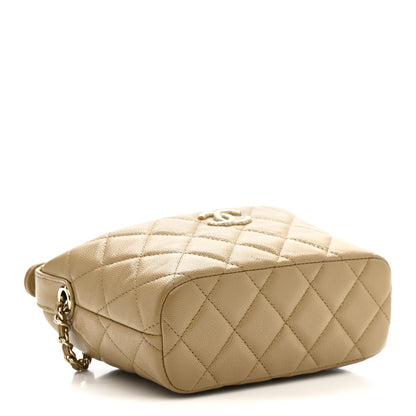 Chanel Caviar Quilted Hobo Dark Beige 4 of 12