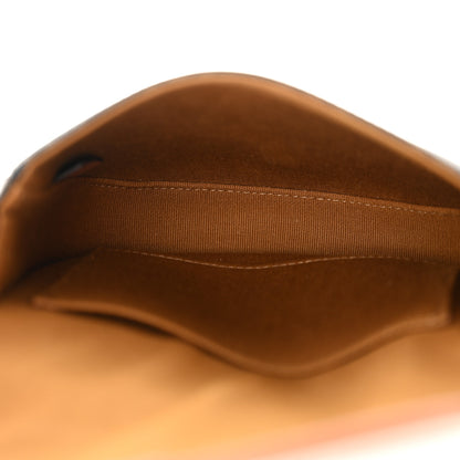 Celine Canvas Calfskin Triomphe Mini Besace Tan 4 of 10