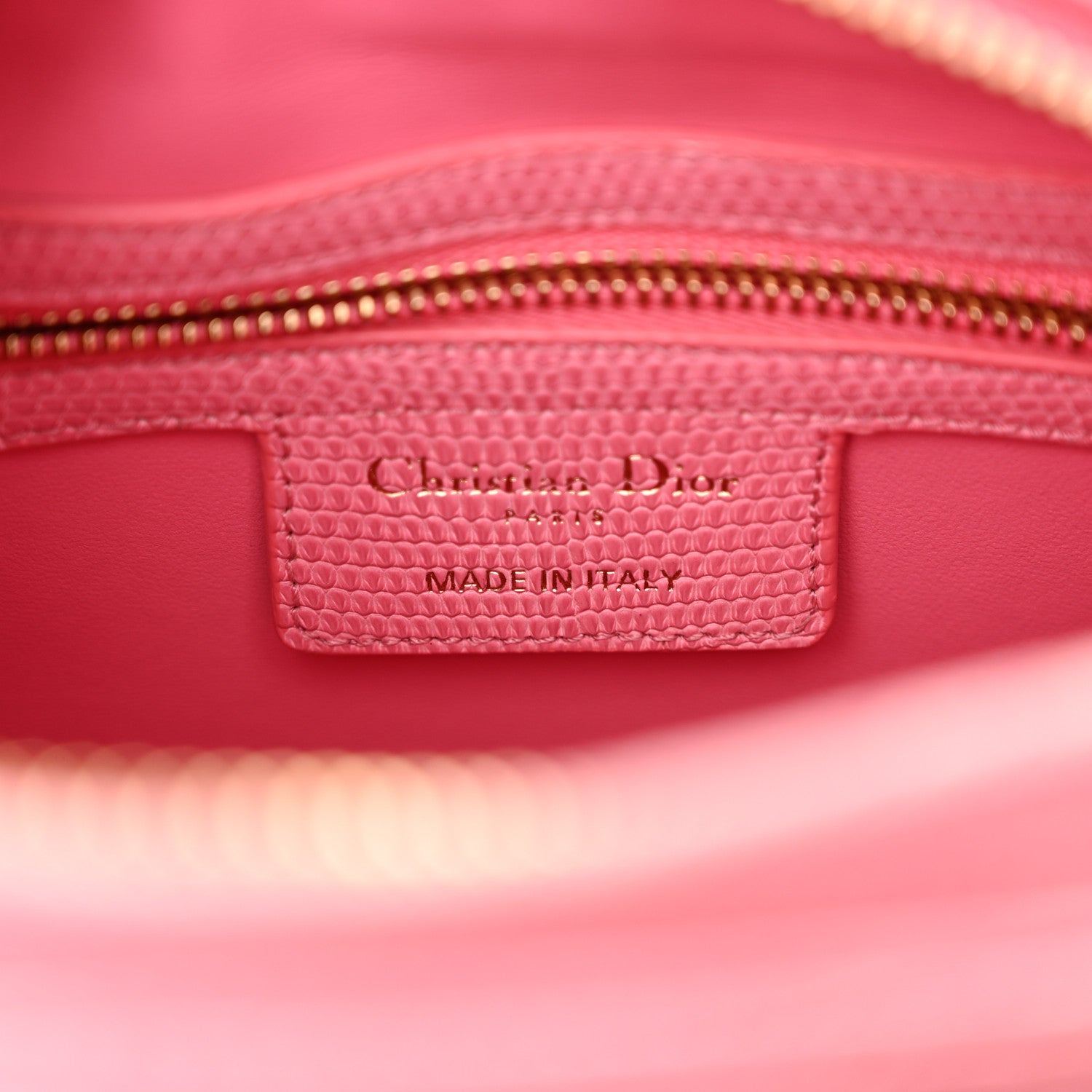 Christian Dior Lizard Medium Lady Dior 6 of 15