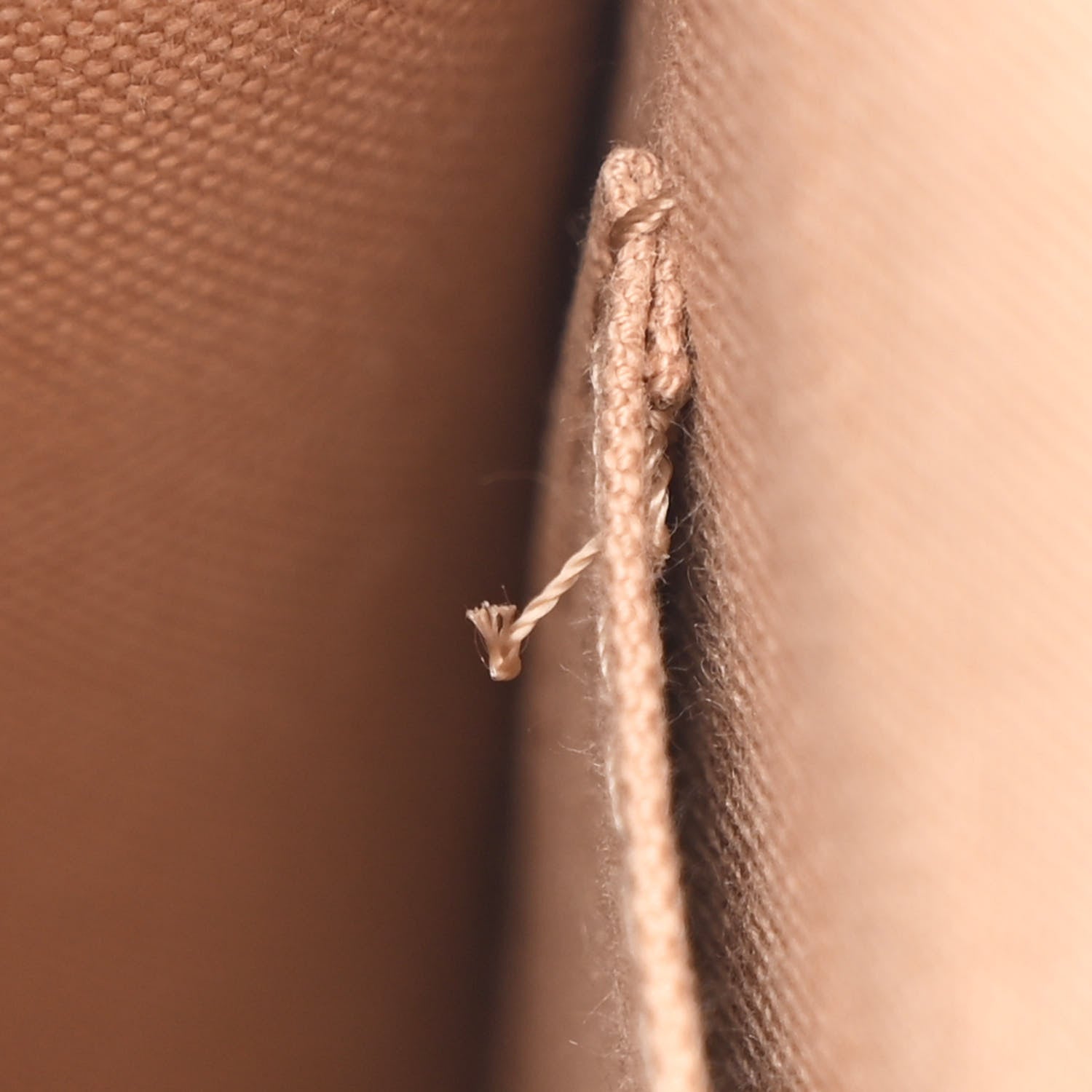 Louis Vuitton Monogram Dune Giant Onthego PM 10 of 10