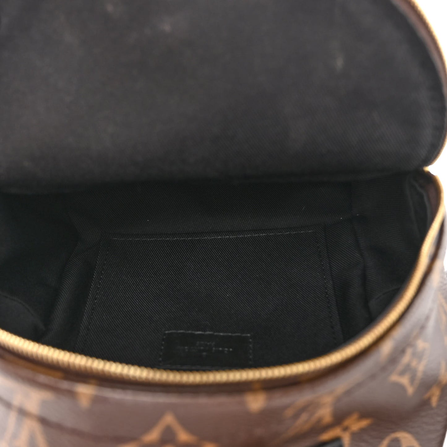 Monogram Palm Springs Backpack Mini