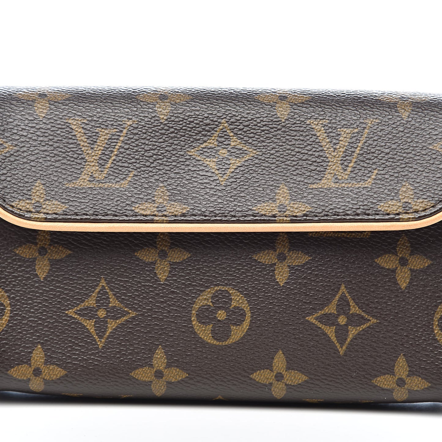 Monogram Pochette Florentine S