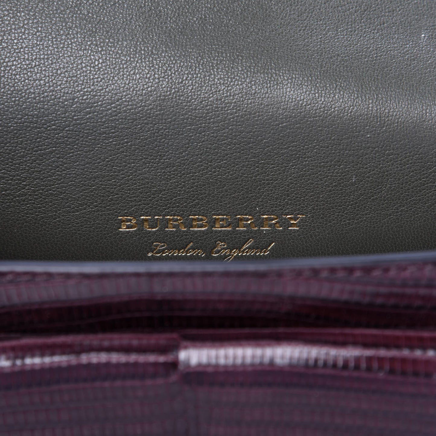 Lizard Square Satchel Dark Mahogany