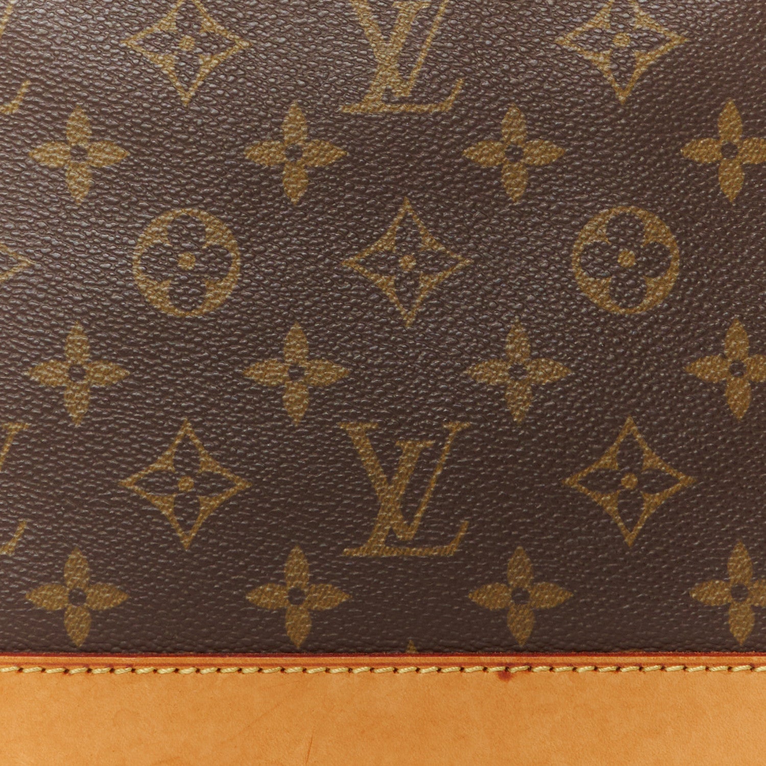 Louis Vuitton Monogram Alma PM 9 of 11