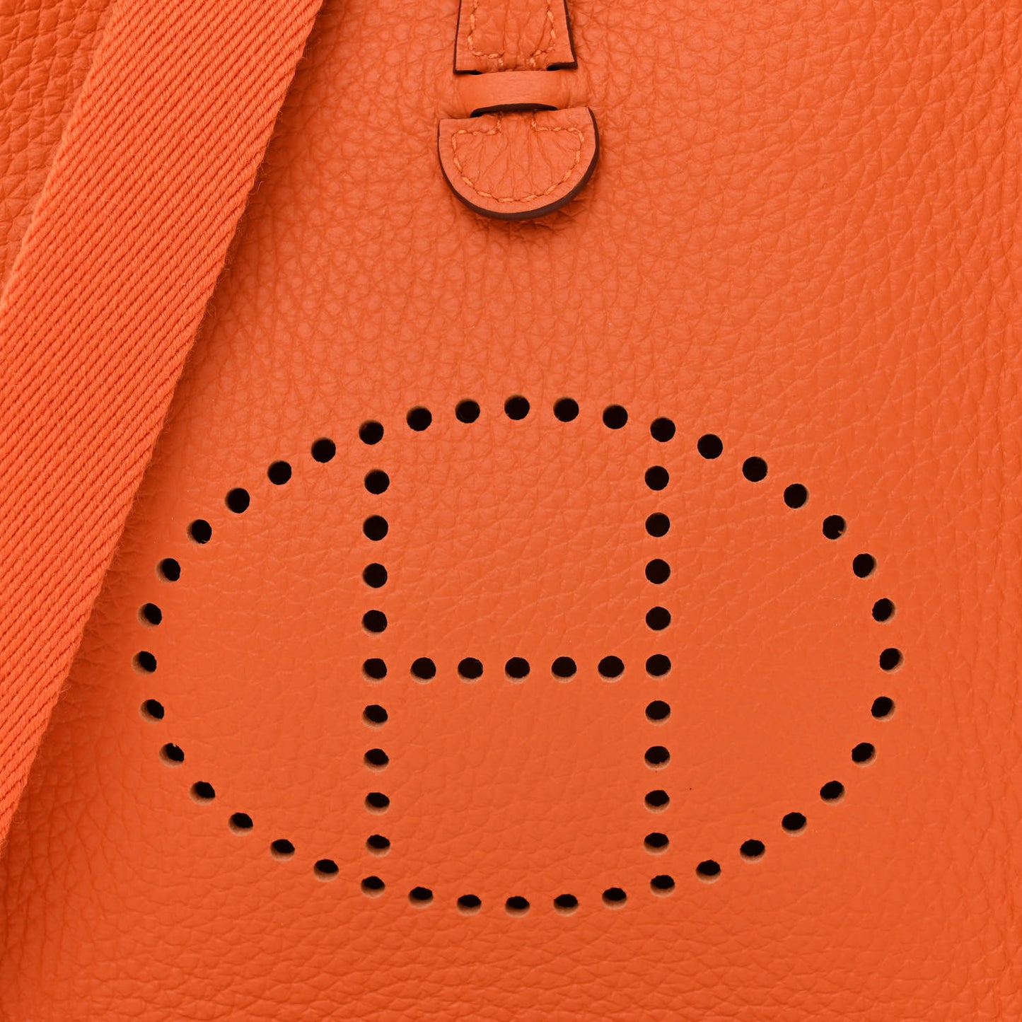 Taurillon Clemence Evelyne TPM Orange
