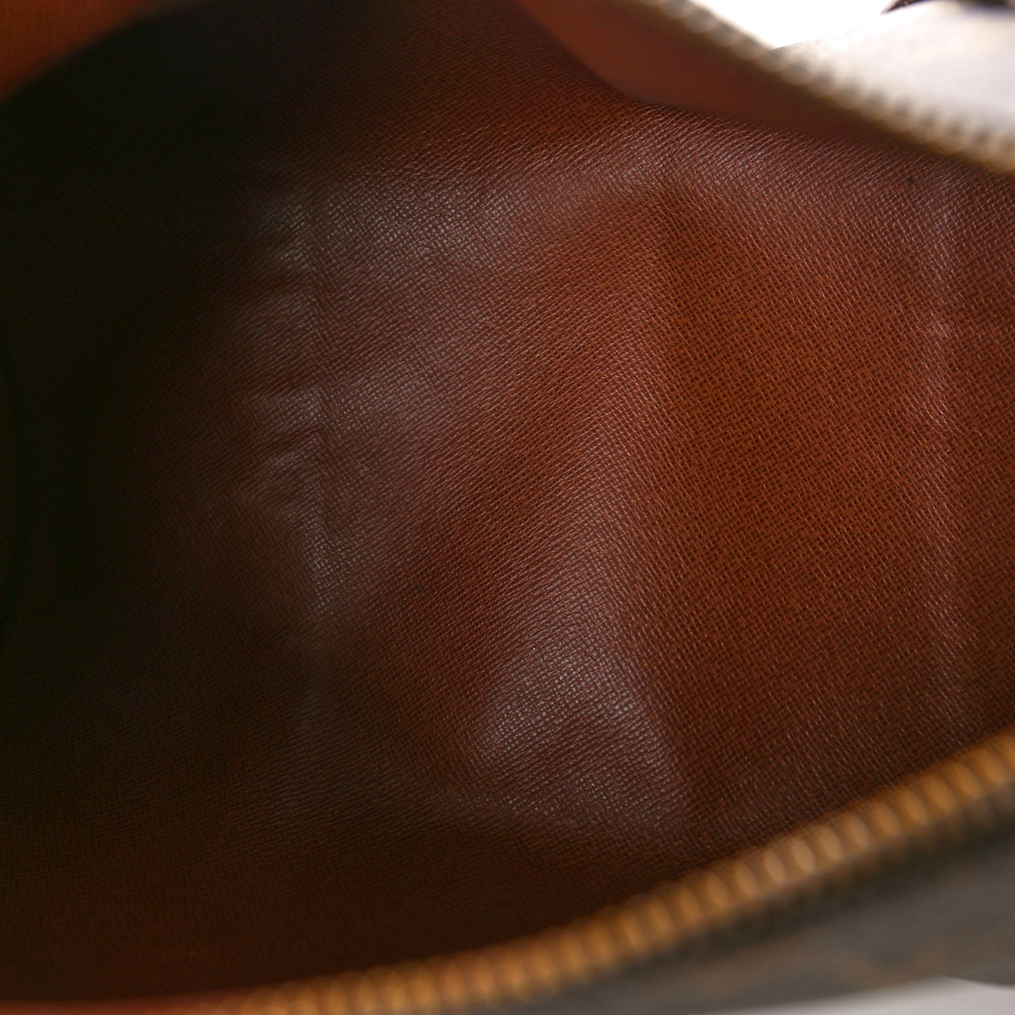 Monogram Papillon 30 with Companion
