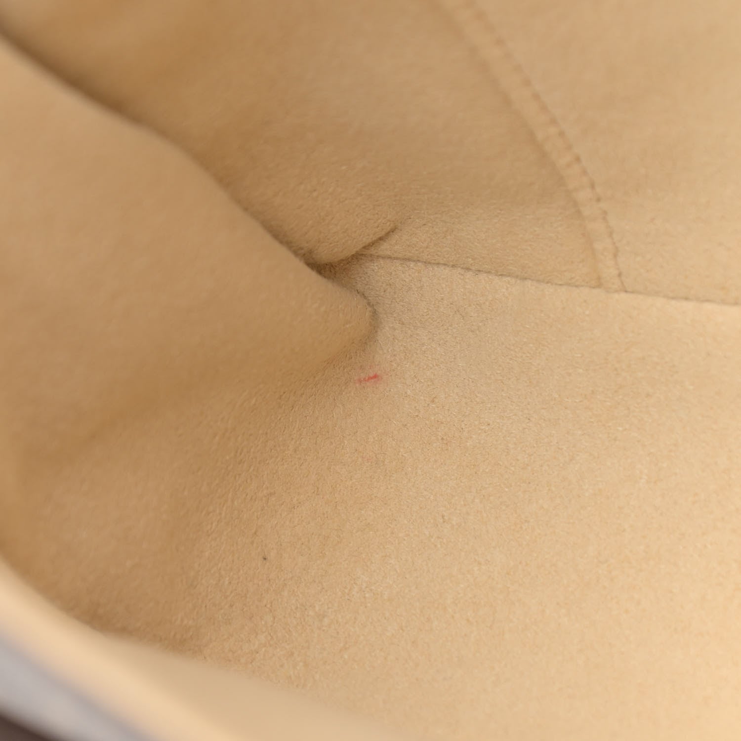 Louis Vuitton Monogram Hudson PM 18 of 19