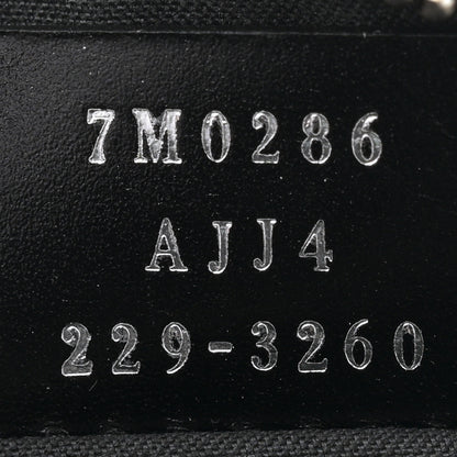 Fendi Shiny Glazed Fabric Vitello Cover FF 1974 Logo Medium Camera Case Black 7 of 12
