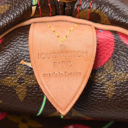 Louis Vuitton Monogram Cerises Keepall 45 12 of 18