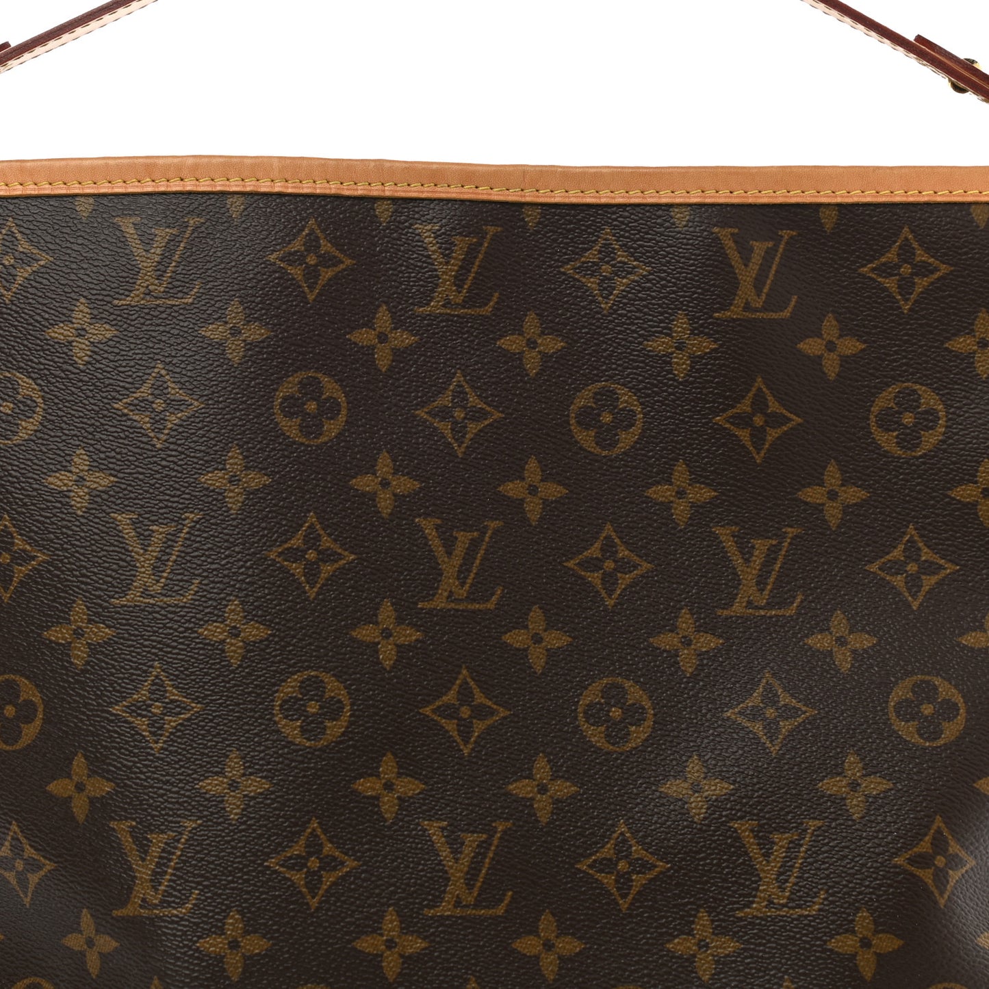 Monogram Delightful PM