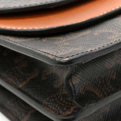 Celine Triomphe Canvas Lambskin Wallet On Strap Tan 11 of 21