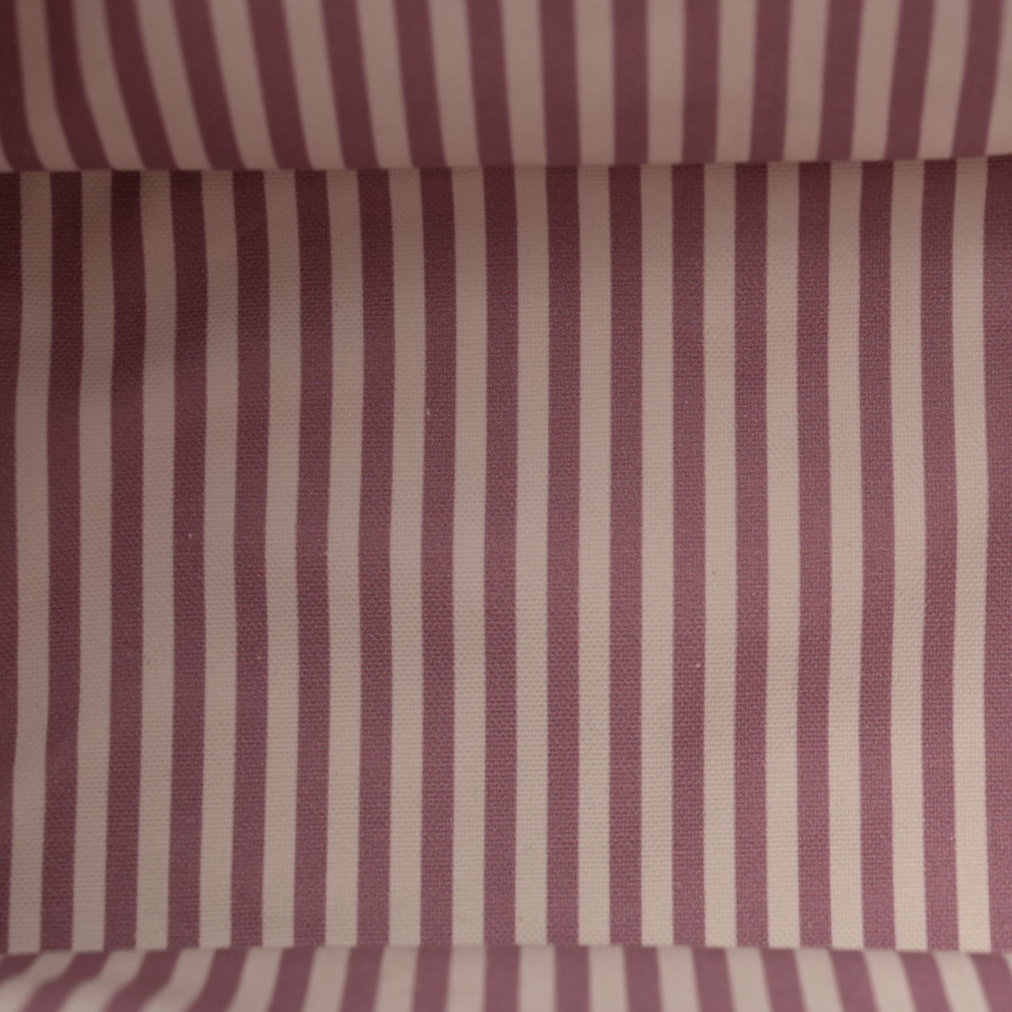 Canapa Small Logo Tote Alabastro White