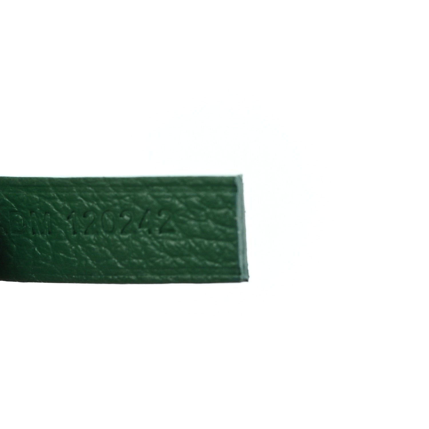 Goyard Goyardine Saint Louis PM Green 8 of 11