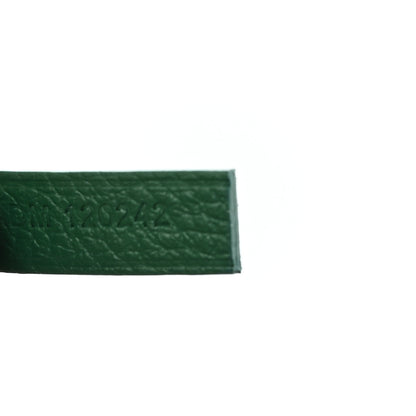 Goyard Goyardine Saint Louis PM Green 8 of 11
