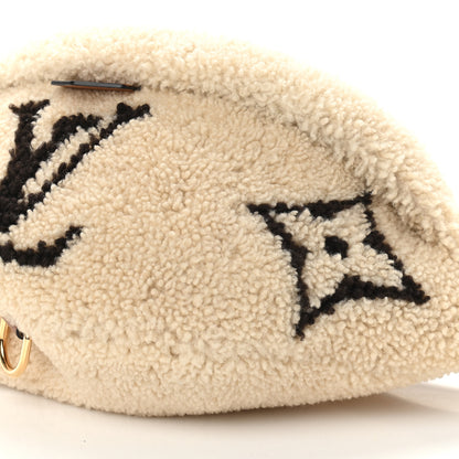Louis Vuitton Monogram Teddy Bumbag 8 of 9