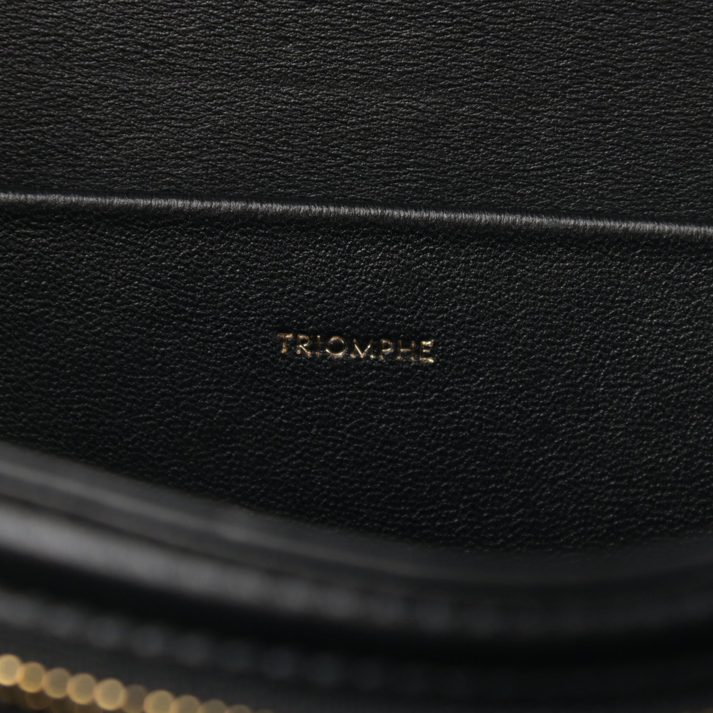 Shiny Calfskin Medium Triomphe Black