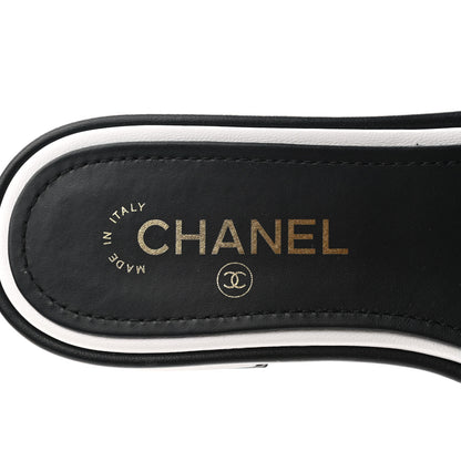 Chanel Lambskin Embroidered CC Mule Sandal 38 Black White 7 of 8