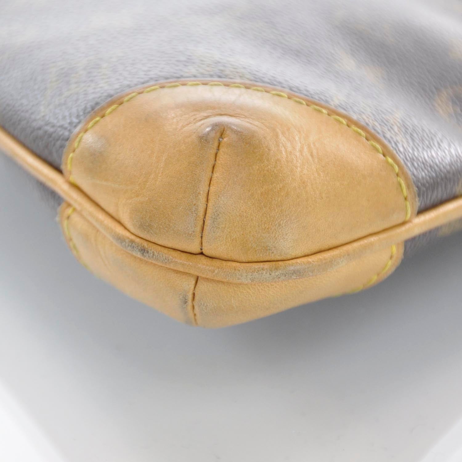 Louis Vuitton Monogram Sac Coussin GM 5 of 8