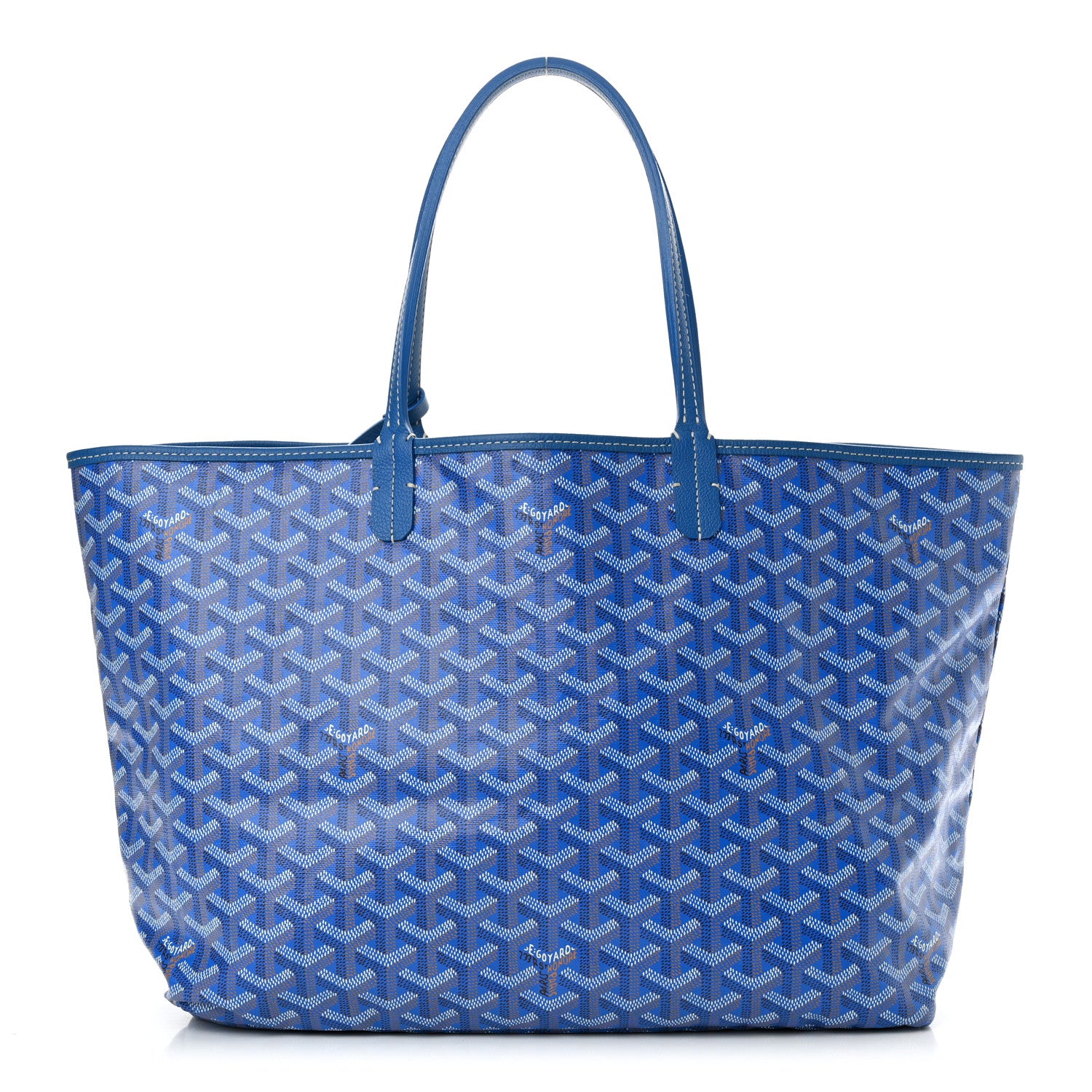 Goyard Goyardine Saint Louis PM Sky Blue 1 of 12