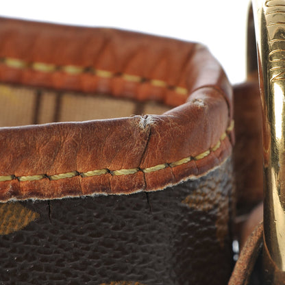 Louis Vuitton Monogram Delightful PM 21 of 23