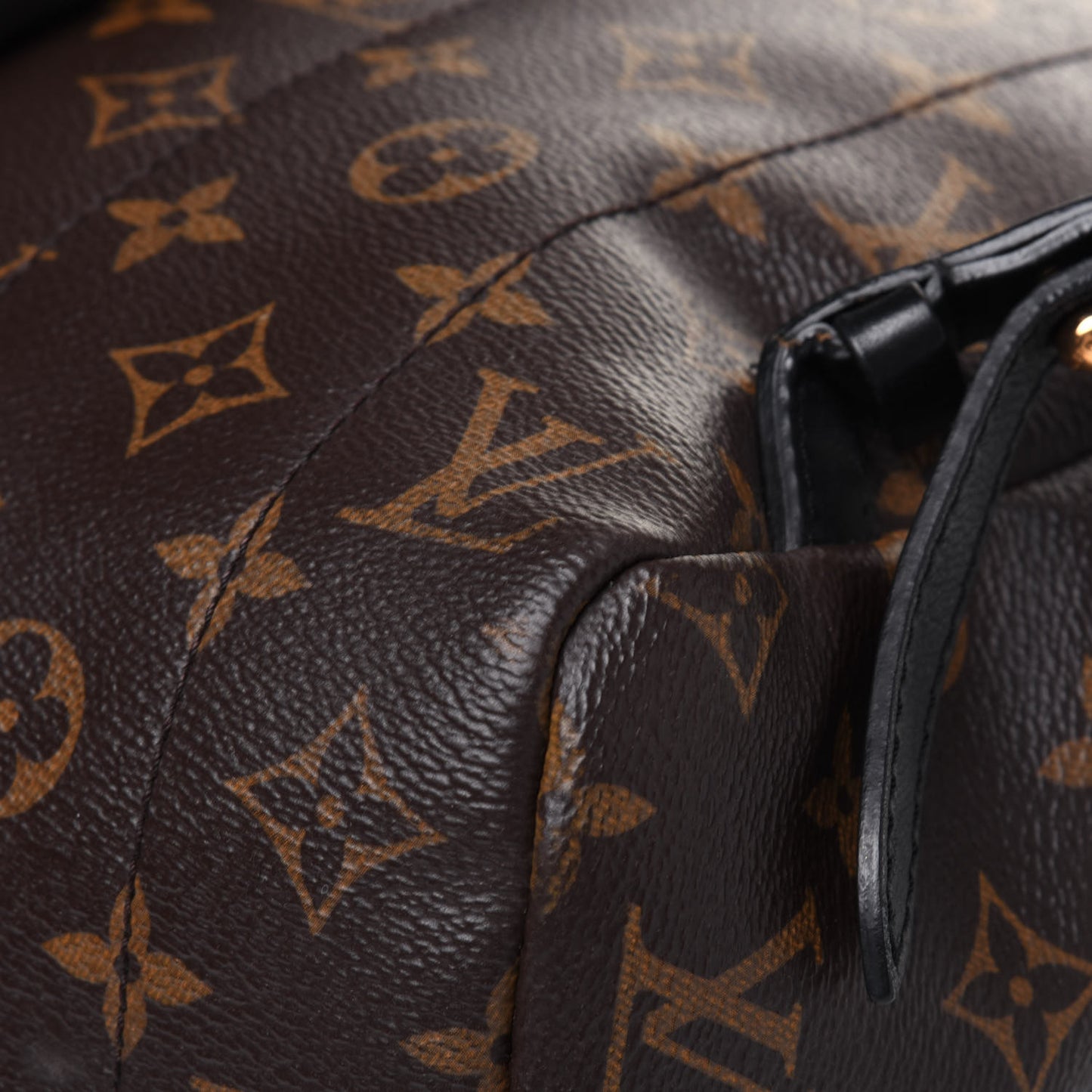 Monogram Palm Springs Backpack MM