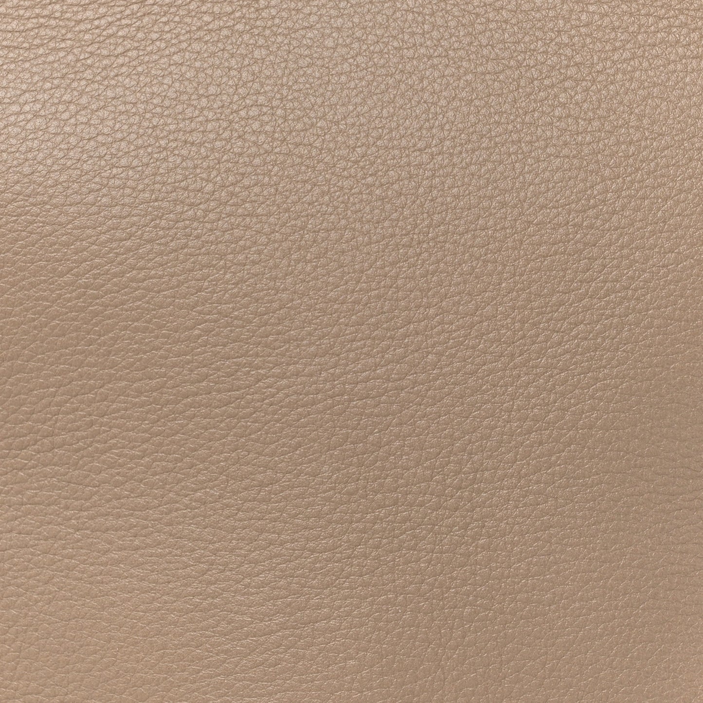 Pebbled Calfskin Medium Amelia Tote Taupe