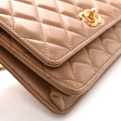 Chanel Calfskin Quilted Perfect Fit Wallet On Chain WOC Beige 13 of 16